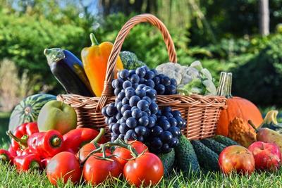 篮子里和草地上的新鲜有机蔬菜和水果图片素材-新鲜有机蔬菜和水果创意 .