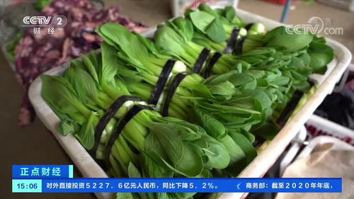 蔬菜价格涨 有市场菜价一周翻了一倍 什么情况 何时企稳